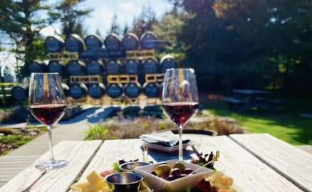 Wine glasses with cheese board on table and barrels